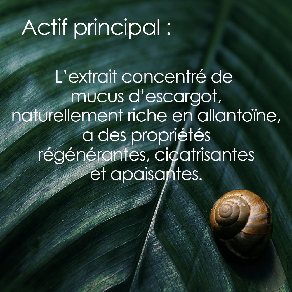 Snail Slime Anti-Aging Cream