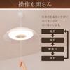 Iris Ohyama LED Pendant Light 6 Tatami Dimmable Energy Saving Shallow PLM6D-YA