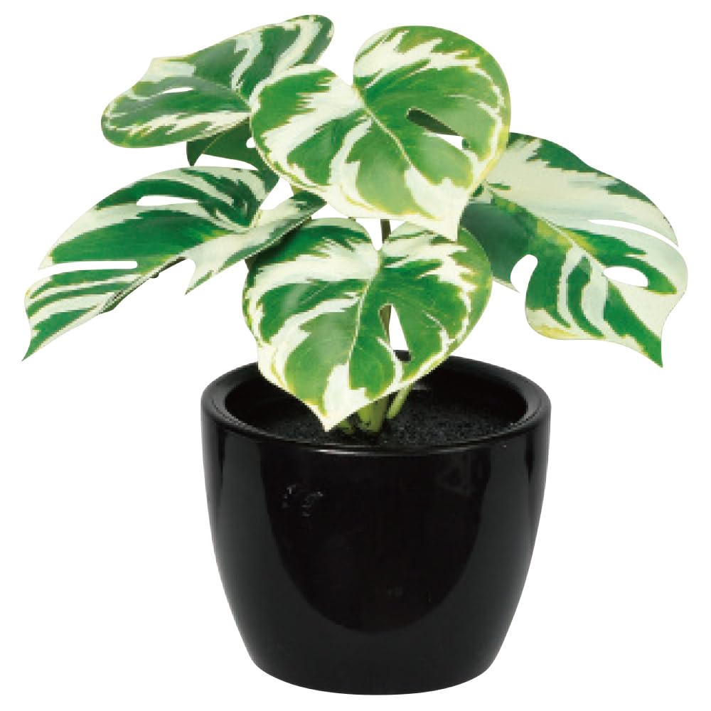 asca Interior Green Mini Size with Black Artificial Artificial Fake Green Pot, Flower, Plant, A-51082 (Monstera)