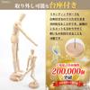 AROXIA Wooden Drawing Doll Model with Hands and Feet for Art, Drawing, and Manga (30cm)