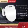 110V Chytré WC sedátko se sušením a čištěním pro domácí použití