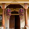 4 Bundles  Artificial Morning Glory Flowers Outdoor Fake Wildflowers For Garden Porch Home Hanging Decor Spring Summer