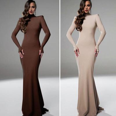 Women Evening Dress Long Sleeves Skinny Solid Color Sheath Hollow Back Floor Length Stretchy Half-high Collar Prom Party Maxi Dress