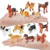 12-piece set of colorful lifelike lizard mini animal and small animal model ornaments