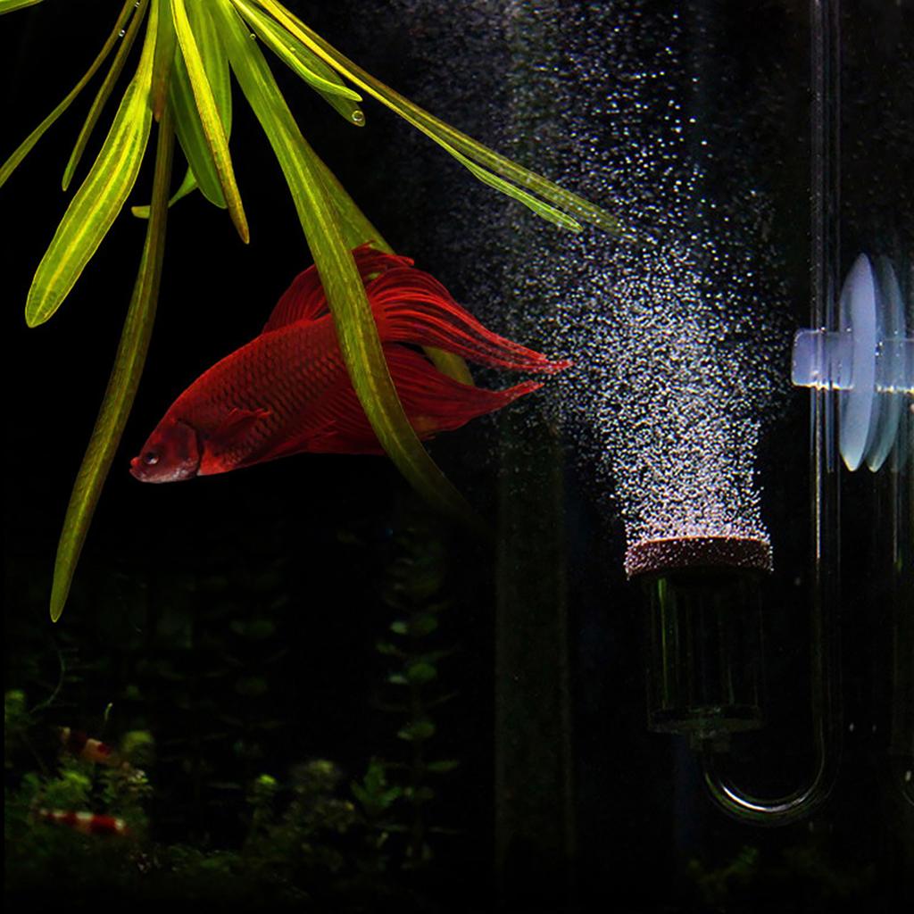 Acrylic Aquarium Carbon Dioxide Transparent Bubble Counter Refiner Fish Tank Water Plants CO2 Atomizer Diffuser