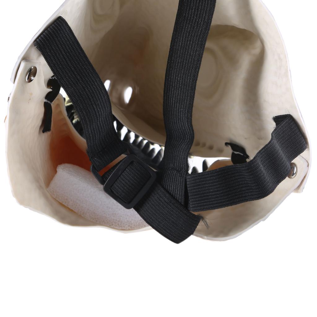 Cosplay Dinosaur Mask Realistic Tyrannosaurus Rex Masks with Moving Jaw for Party Halloween Gift for Jurassic Fans