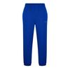 Lacoste Unisex Adult Regular Tracksuit Bottoms