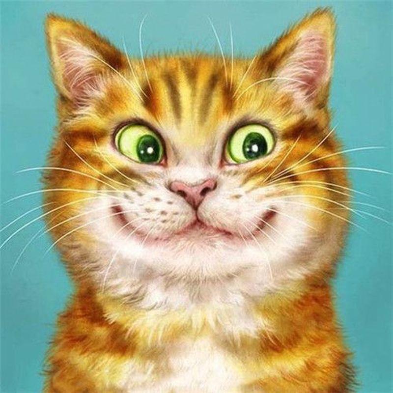 5D DIY diamantová malba Zvířecí křížový steh Celokulatý vrták Diamantové vyšívání Prodej Domácí dekorace