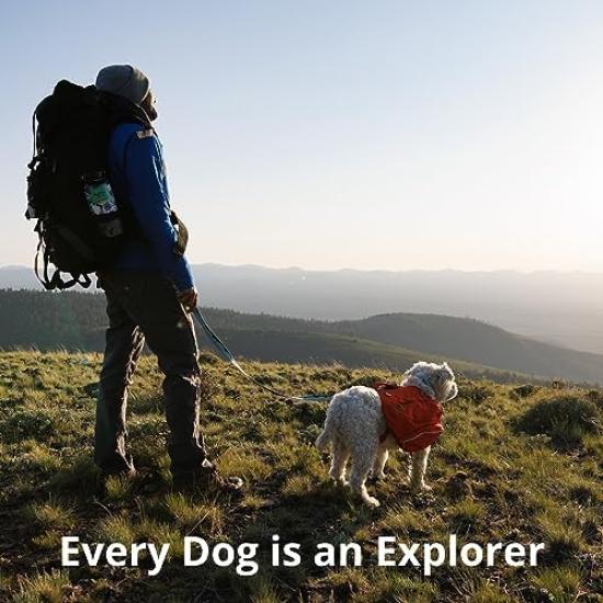 Official RUFFWEAR Crag Leash Alpine Dusk