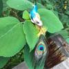Room Mini Decoration Home Garden Wedding Feathers Artificial Birds Emulation Bird Fake Peacock