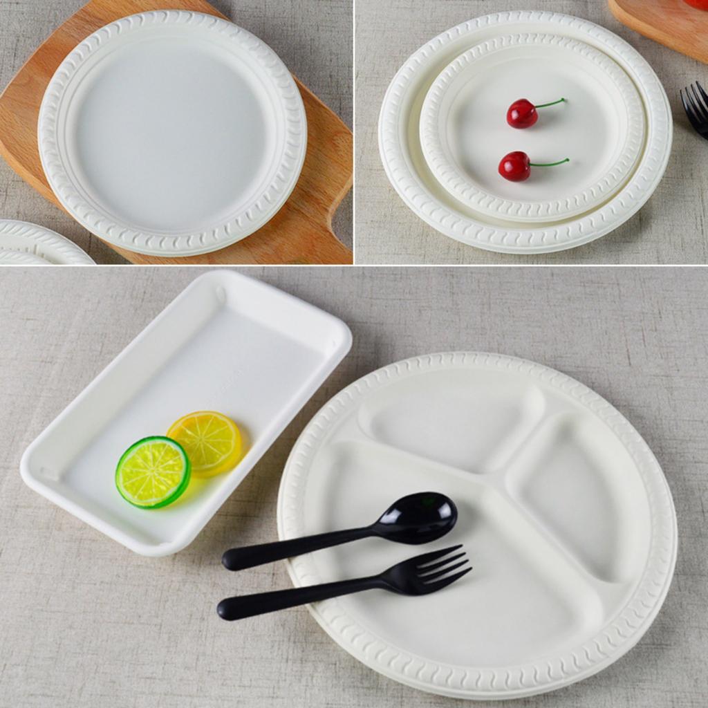 50 Environmentally Friendly Disposable Paper Trays 10 Inches