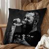 Take My Heart Post Malone Pillow Case Antidustmite Pillowcase Invisible zipper silky short plush Sofa cushion cover
