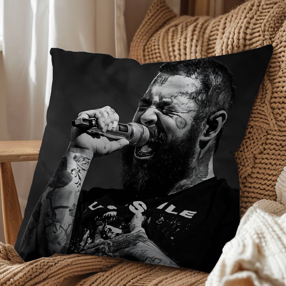 Take My Heart Post Malone Pillow Case Antidustmite Pillowcase Invisible zipper silky short plush Sofa cushion cover