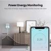 16A Brazil Standard WiFi Smart Plug with Power Monitor Smart Life APP Remote Compatible Smart Socket Work for Google Home Alexa