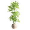 High-End Nandina Domestica Floor-Standing Faux Green Plant for Indoor Decoration