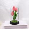 Tulip simulation flower luminous glass cover tabletop ornament Teachers' Day Mother's Day gift ornament night light gift