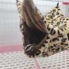 Cozy Pet Hammock for Small Animals