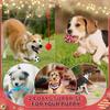 Hund Adventskalender 2025, Jul Hundleksaker Tugrep Pipiga Bollar Bitringar Halsband Bandana, 24 Set Jul Nedräkningskalender Gåva till Hund