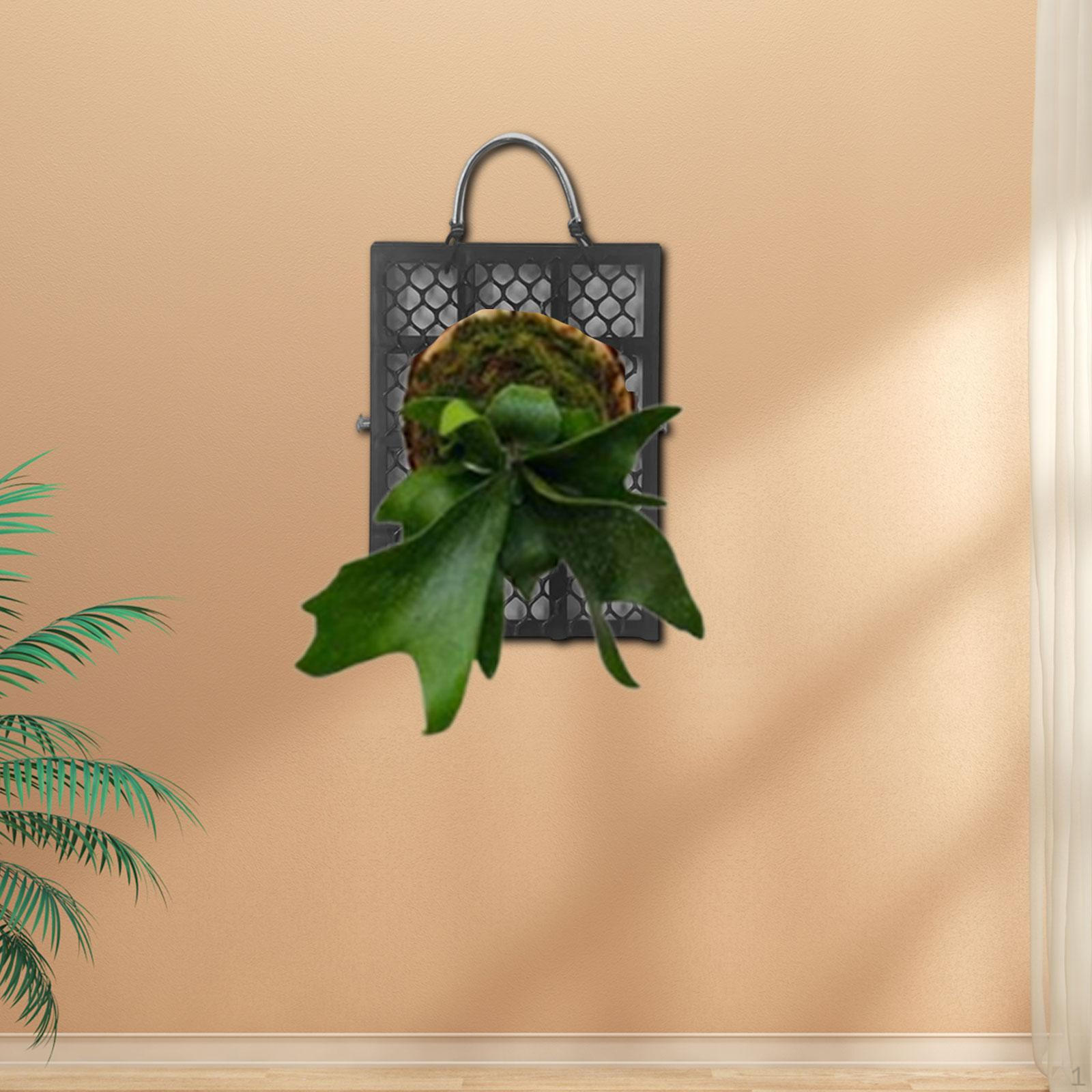 

Панель для кровати из папоротника, панель для демонстрации комнатных растений, легкая установка, утолщенная S