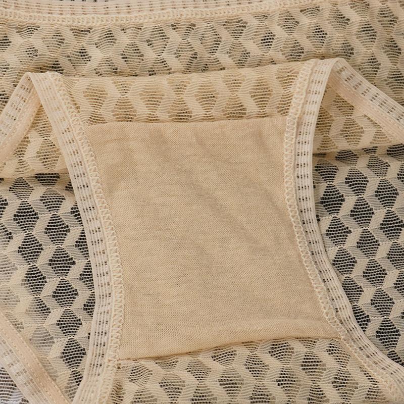 Lace Underwear Women's Panties Sexy Mesh Sexy Low Waist Briefs