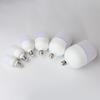 Longdai LX 18W LED Light Bulb