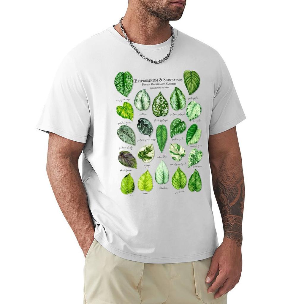 Scindapsus pothos varieties light TShirt oversized oversized graphic tee sublime plus size clothes Tshirts for men cotton