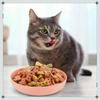 1PC Cat Shallow Rice Bowl - Plastic Non-slip Easy-clean Colorful Snack Bowl Feeding Tray, for Cats and Small Dogs, Daily Feeding