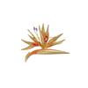Senior Brooches Flower Leaf Brooch Pins for Women Suit Pendant  Fashion Brooches Jewelry