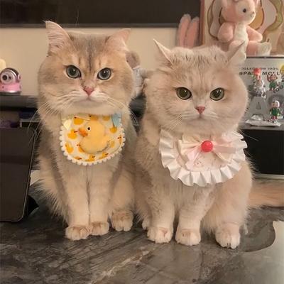 Colar Babador Animal Fofo para Cães Pequenos Médios Todas as Estações Unissex Acessórios de Colar Adorável Renda Xadrez Amarrar Pet Cachorro Roupa de Pescoço
