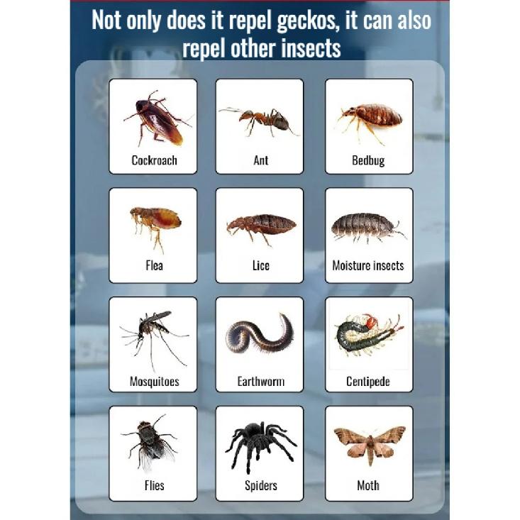 Gecko Repellent Spray Strong Househol Repellent Spray Longterm Effective Anti Gecko Products Indoor Potent Gecko Repellent Spray 4