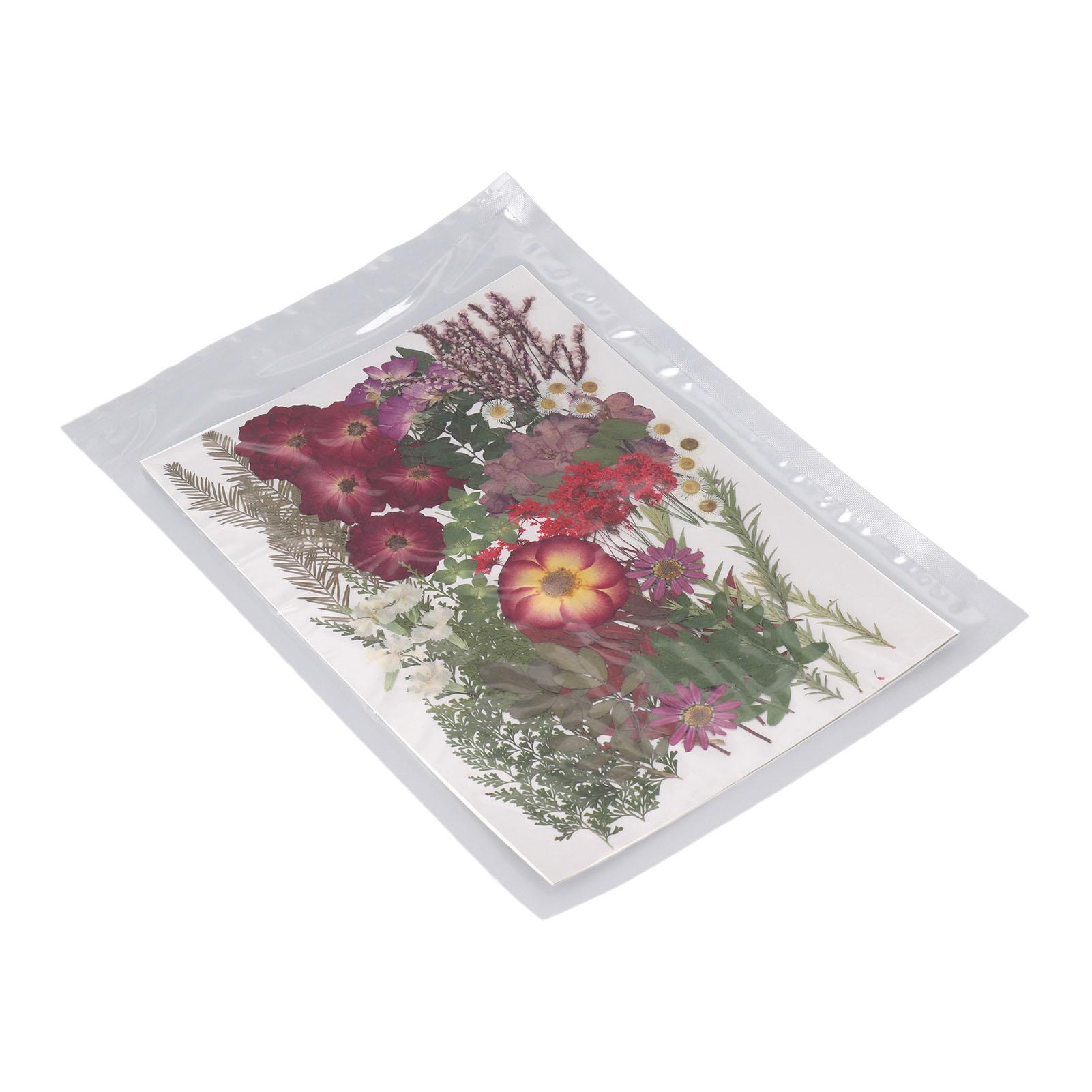 

Набор из 100 штук прессованных цветов и листьев, материал для сухих цветов для эпоксидных форм, скрапбукинга, художественных ремесел