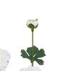 Hill Interiors The Natural Garden Collection Ranunculus Artificial Flower