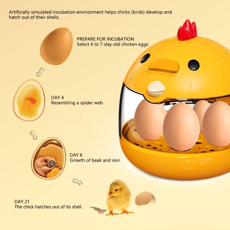 Eggs Incubator 5 Eggs Incubators for Hatching Eggs Heat and Humidity Control 5 Eggs Fully Turnning Poultry Hatcher