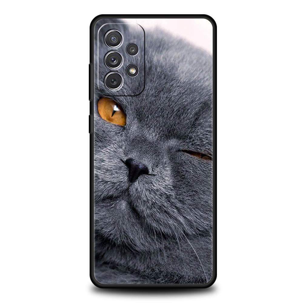 Britische Kurzhaarkatze Fall für Samsung A24 A12 A14 A32 A50 A70 A20E A20S A10 A10S A22 A30 A40 A34 A54 A42 A52 5G A04s A72 Abdeckung