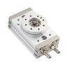 Rotating Pneumatic Cylinder, Light Alloy Steel Double Rack Rod with Roller Bearing Design, 30mm Cylinder for High Temperature Environment, Magneti