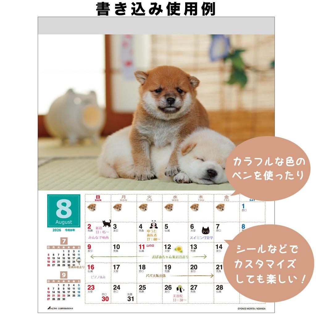 Active Corporation 2026 Wall Morita Whole Shiba Starts January 2026 Calendar, Yoneo, Inu, 26ACL-11,