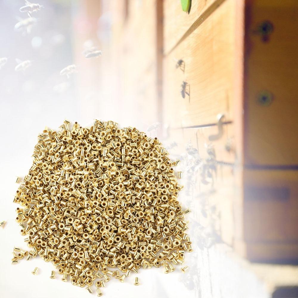 10000pcs Non-Toxic Beekeeping Tools Brass Frame Eyelets  Beehive Maintenance