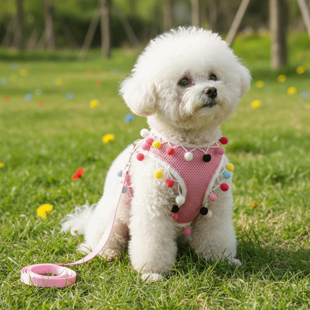 Adjustable Dog Harness Vest Colorful Ball Pet Walking Rope Durable Dog Chest Strap Daily Use