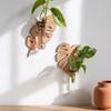 Home Ornaments Wall Mounted Planter Vase Flower Pot Wall Shelf Planter Holder  Plant Lovers
