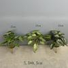 10pcs Hotel Decorative Plastic Simulation Apple Leaf Plant Restaurant Decoration Artificial 24 Leaves Alocasia Green Plants