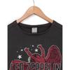 Amplified Damen/Damen Icarus Tour 77 Led Zeppelin Crop Top
