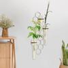 Wall Propagation Station Wall Art Plant Terrarium Flower Vase Wall Decor Rack Honeycomb Propagation Station Plant Test Tube Home