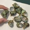 10Pcs Natural Green Turbo Shell Charms 22×27~30×35mm Sea Snail Conch Pendants With Gold Metal Bail For DIY Beach Necklace Earring Jewelry Making