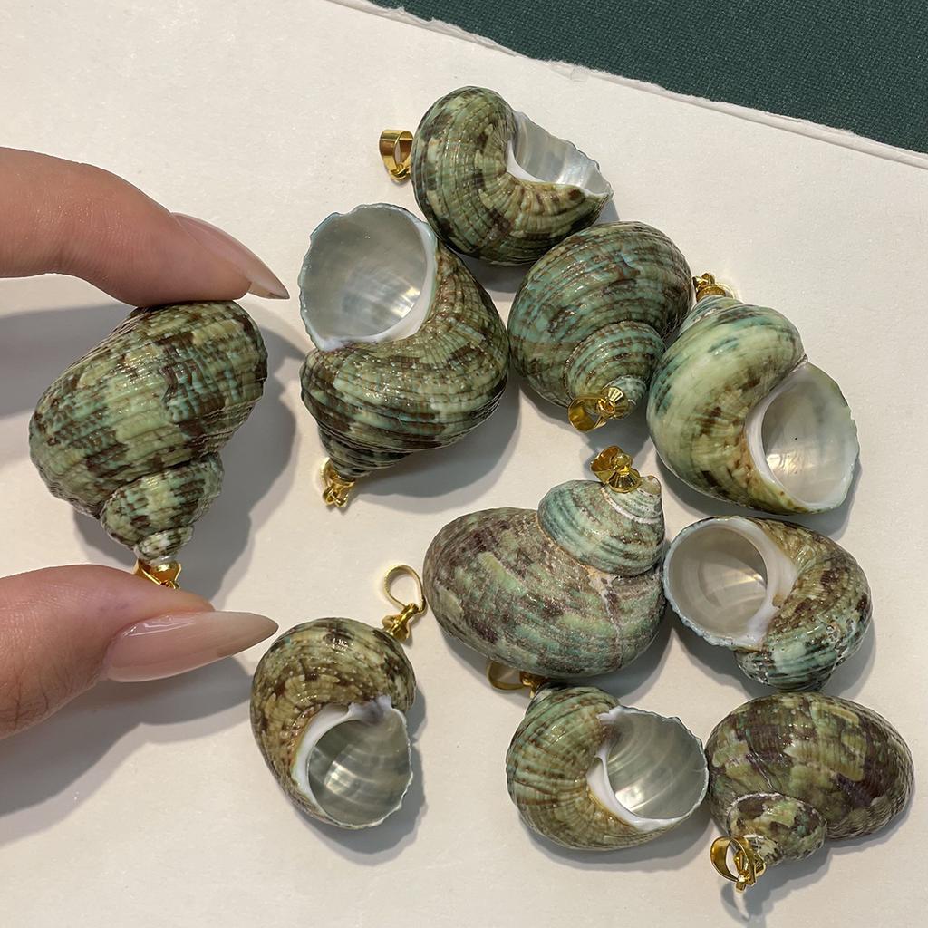 10Pcs Natural Green Turbo Shell Charms 22×27~30×35mm Sea Snail Conch Pendants With Gold Metal Bail For DIY Beach Necklace Earring Jewelry Making