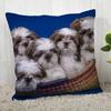 Fodera per cuscino per cane Shih Tzu Personalizza federa Moderna casa decorativa federa per soggiorno