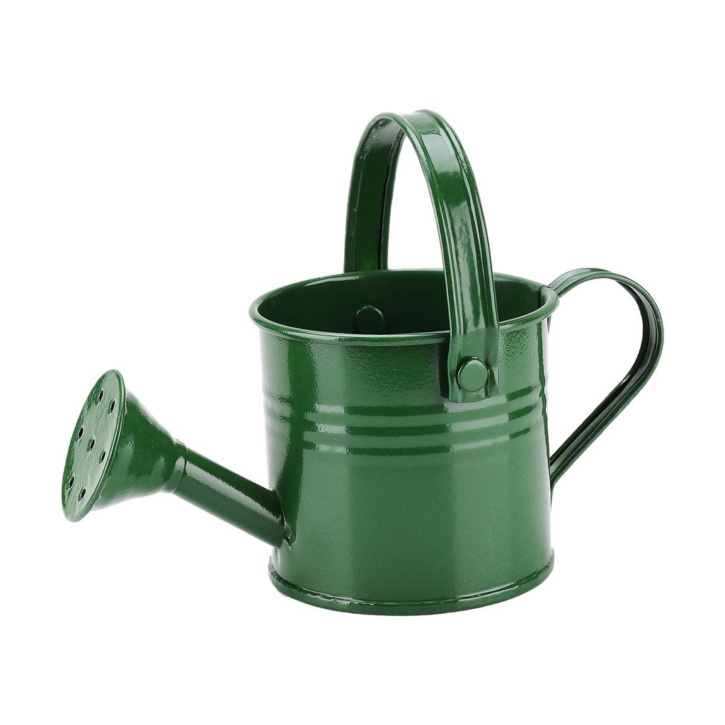 Mini Grüne Gießkanne 160ml Kleines Fassungsvermögen Gartenpflanzen Sprühkanne Topf