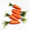 Lifelike Fake Carrots Glitter Easter Ornaments 6Pcs Kitchen Photography Props