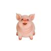 Cute Piggy Bank, Shatterproof Piggy Bank, Best Birthday Gifts