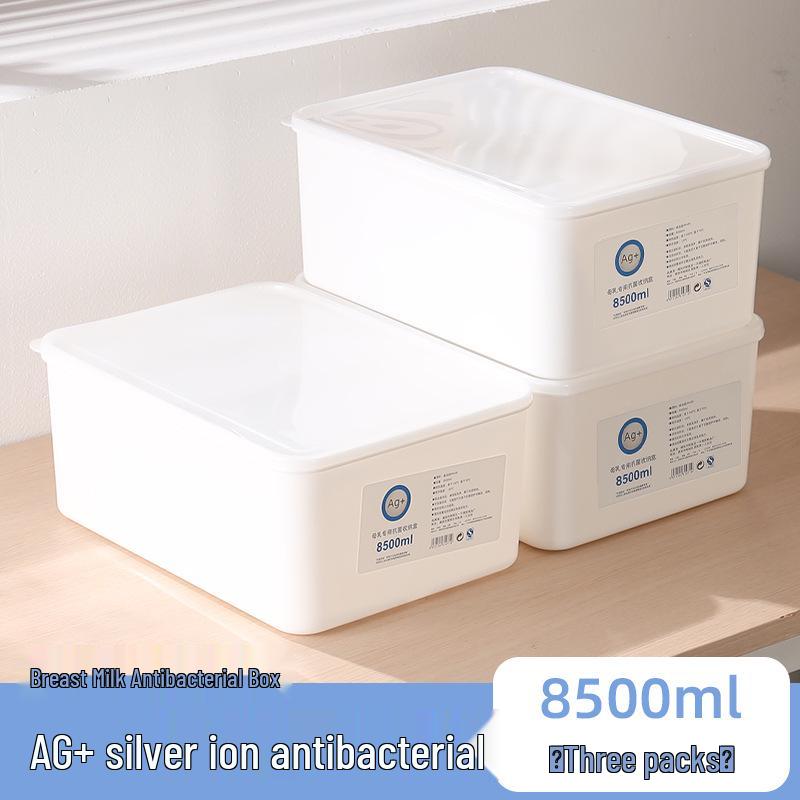 Large Capacity Fresh-Keeping Storage Box for Steamed Buns and Dumplings