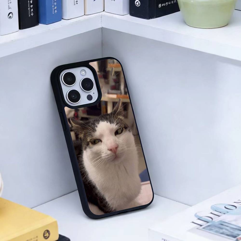 Funny Cute Cat  Phone Case For iPhone 14,16,15,13,17,12,Plus,Pro,Max Magnetic For Magsafe Frosted Cover